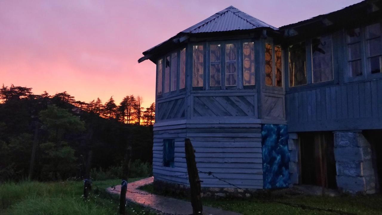 Black Bear Cottage Khajjiar Εξωτερικό φωτογραφία