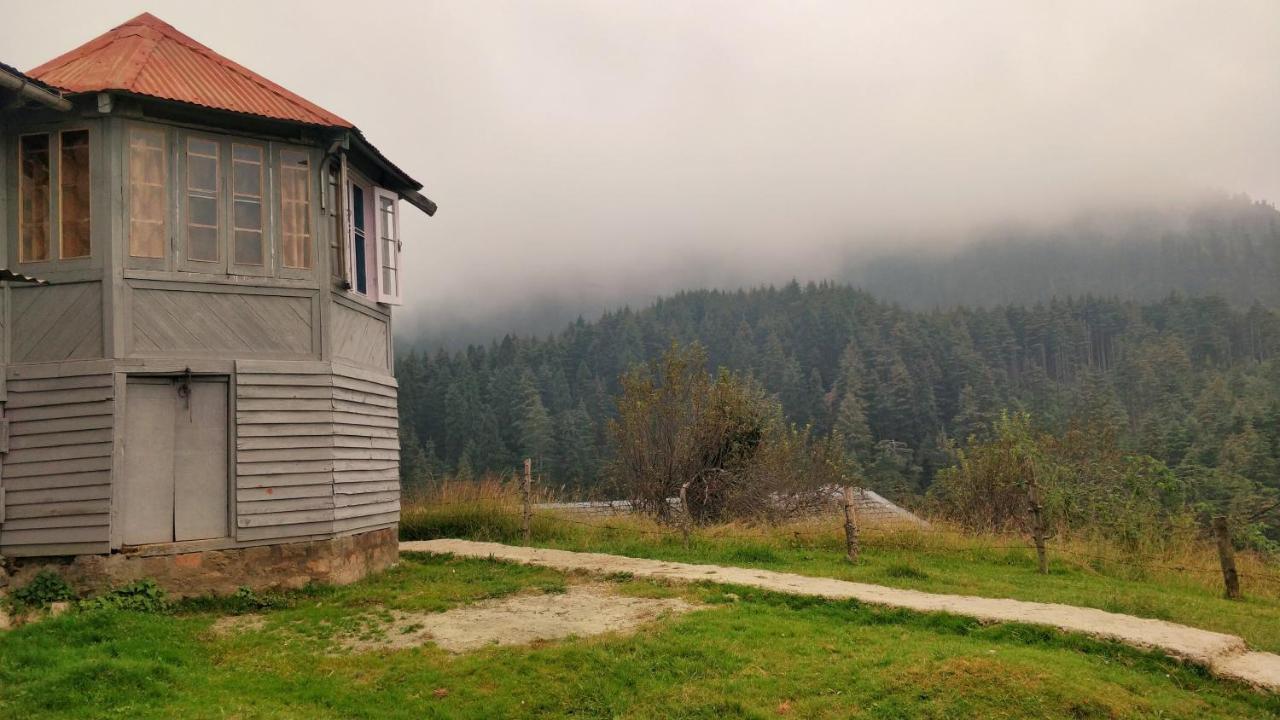 Black Bear Cottage Khajjiar Εξωτερικό φωτογραφία