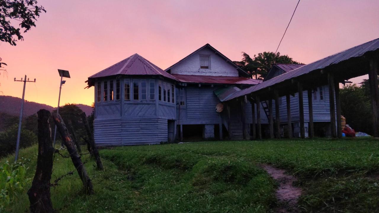 Black Bear Cottage Khajjiar Εξωτερικό φωτογραφία