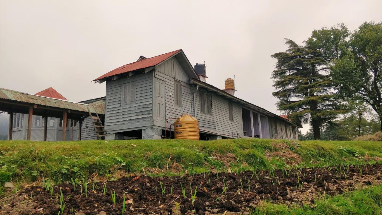 Black Bear Cottage Khajjiar Εξωτερικό φωτογραφία