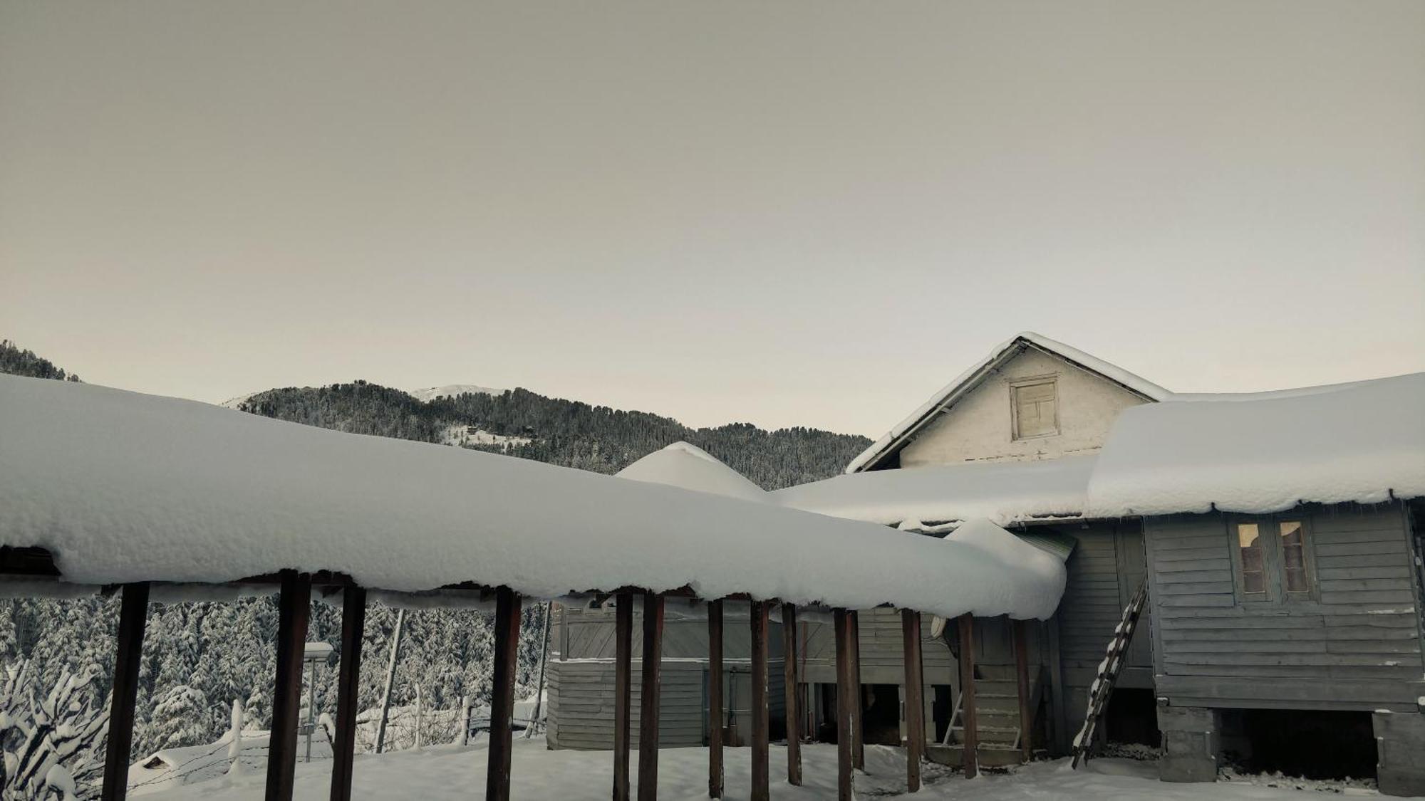Black Bear Cottage Khajjiar Εξωτερικό φωτογραφία