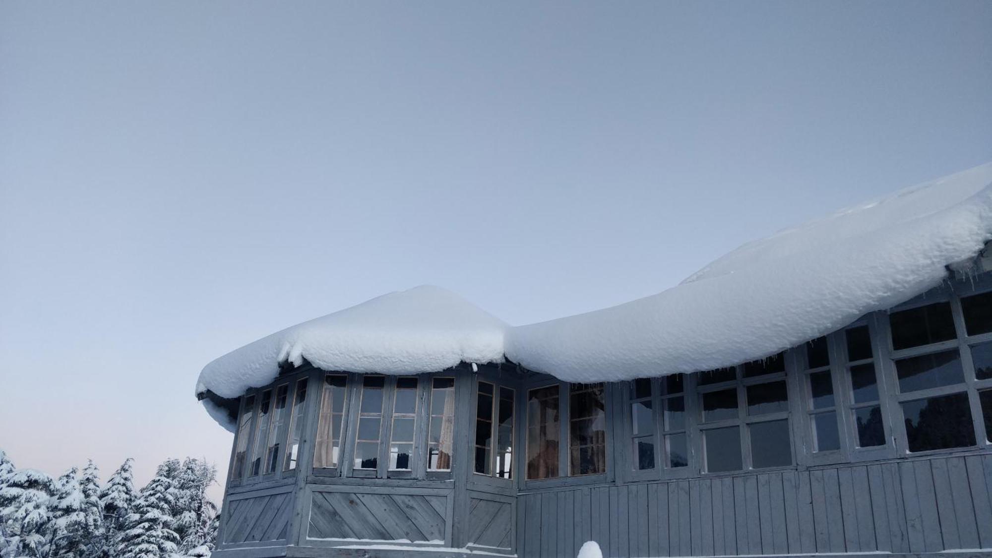 Black Bear Cottage Khajjiar Εξωτερικό φωτογραφία