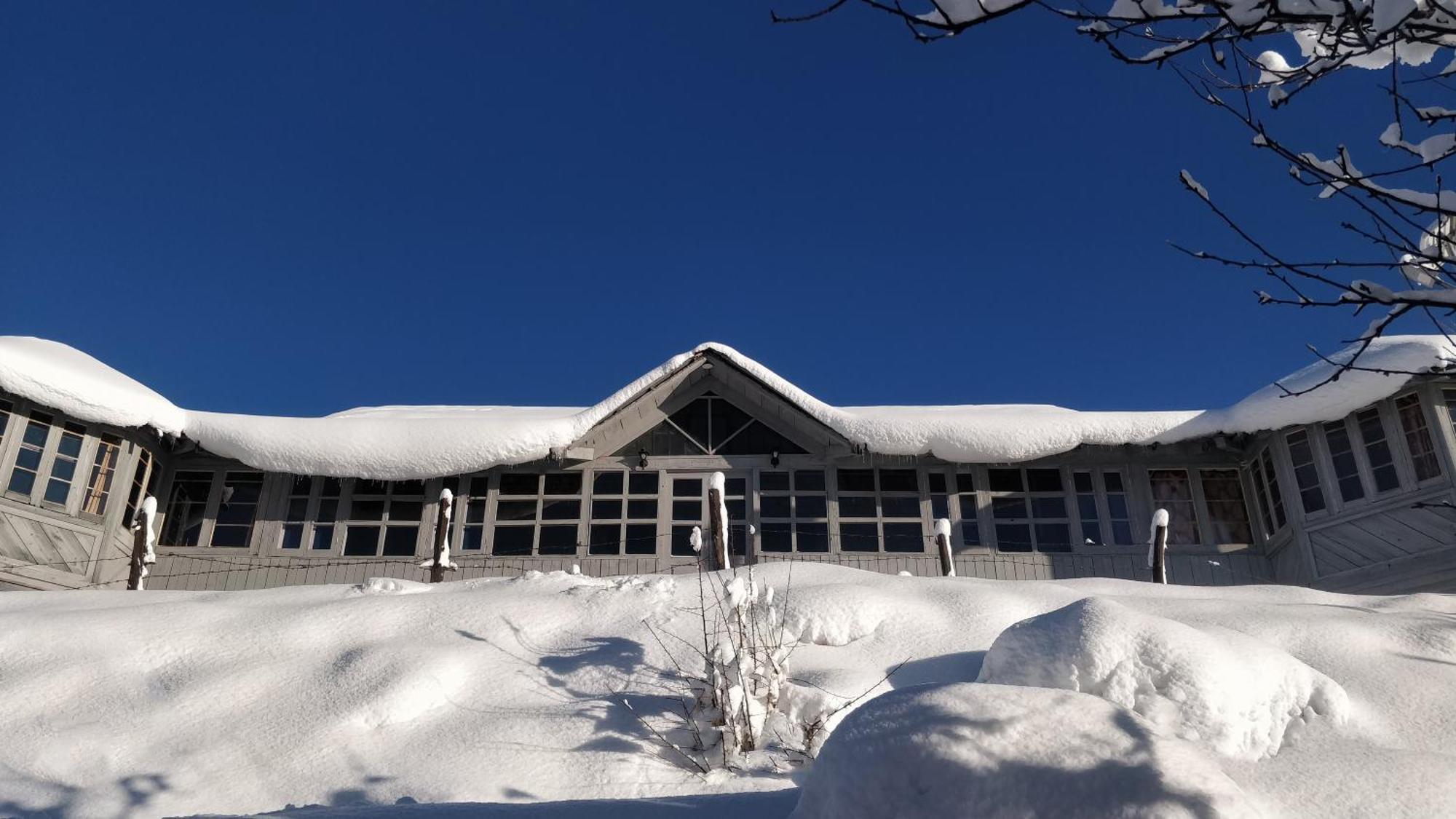 Black Bear Cottage Khajjiar Εξωτερικό φωτογραφία