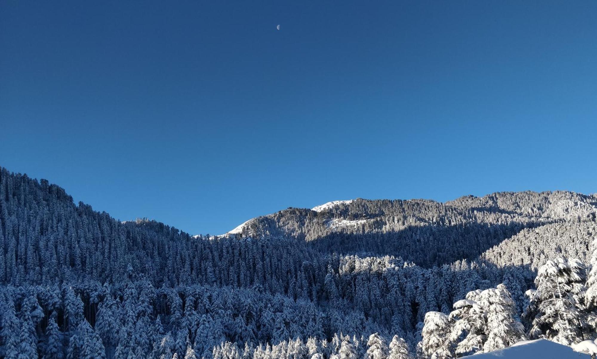 Black Bear Cottage Khajjiar Εξωτερικό φωτογραφία
