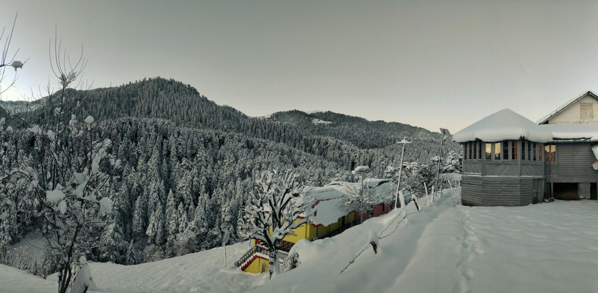 Black Bear Cottage Khajjiar Εξωτερικό φωτογραφία