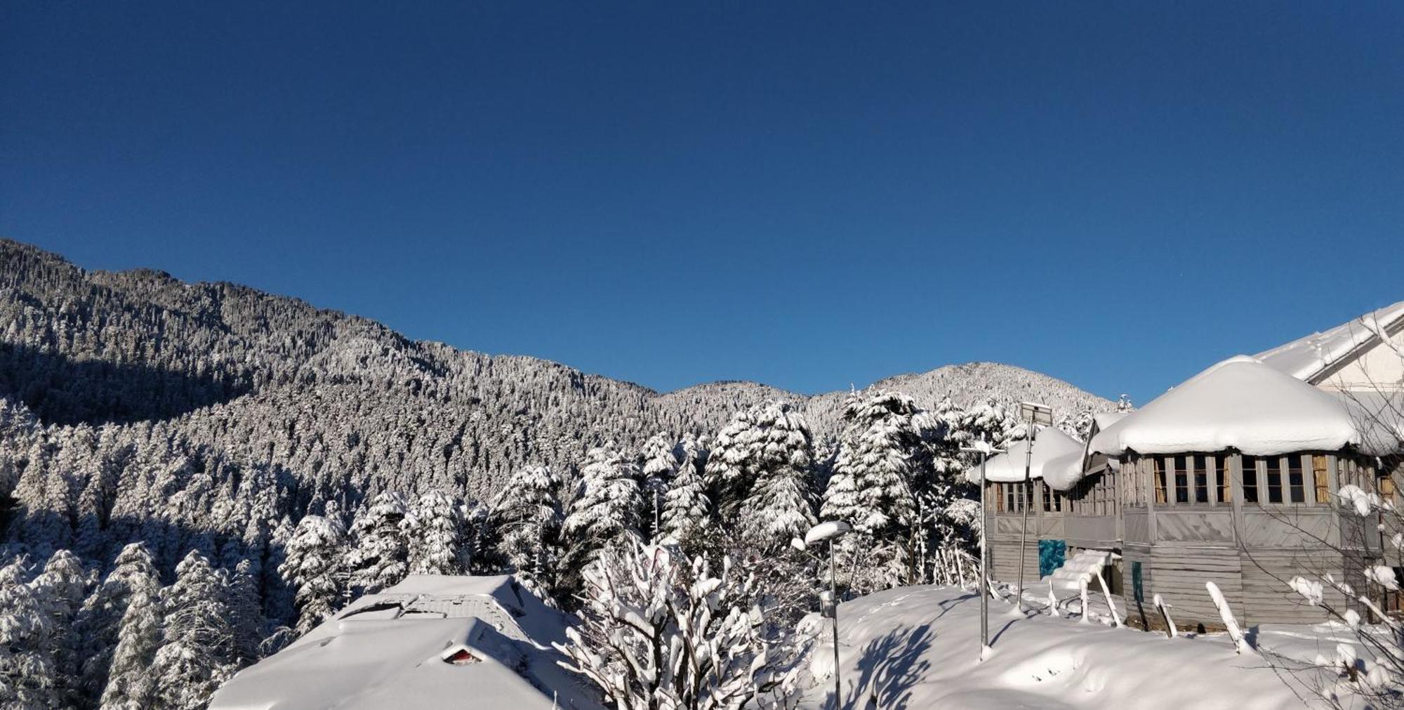 Black Bear Cottage Khajjiar Εξωτερικό φωτογραφία