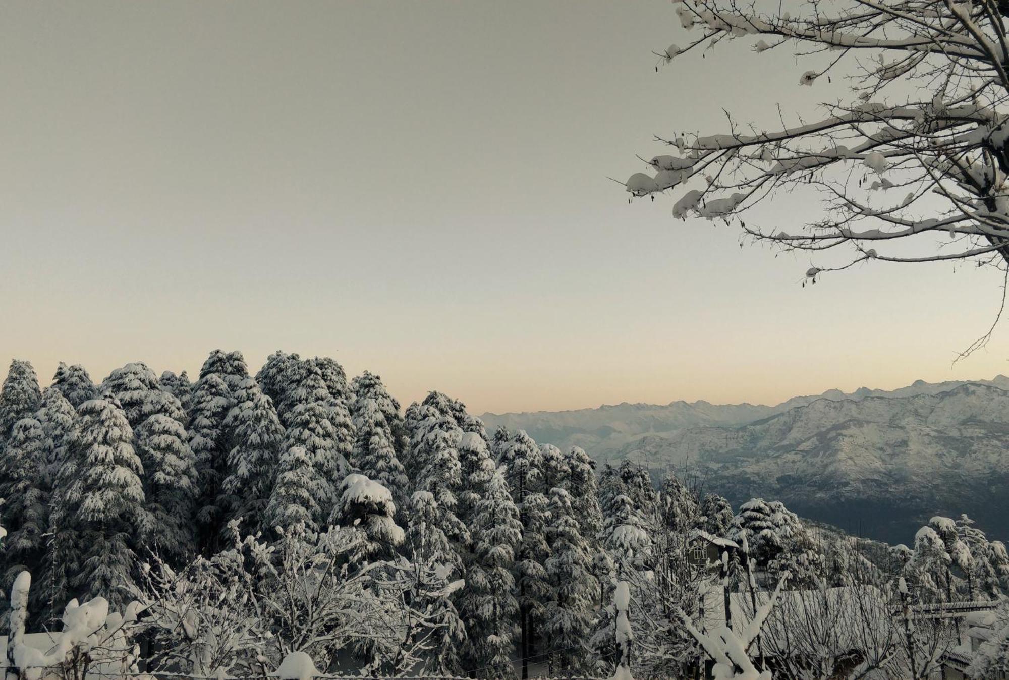 Black Bear Cottage Khajjiar Εξωτερικό φωτογραφία
